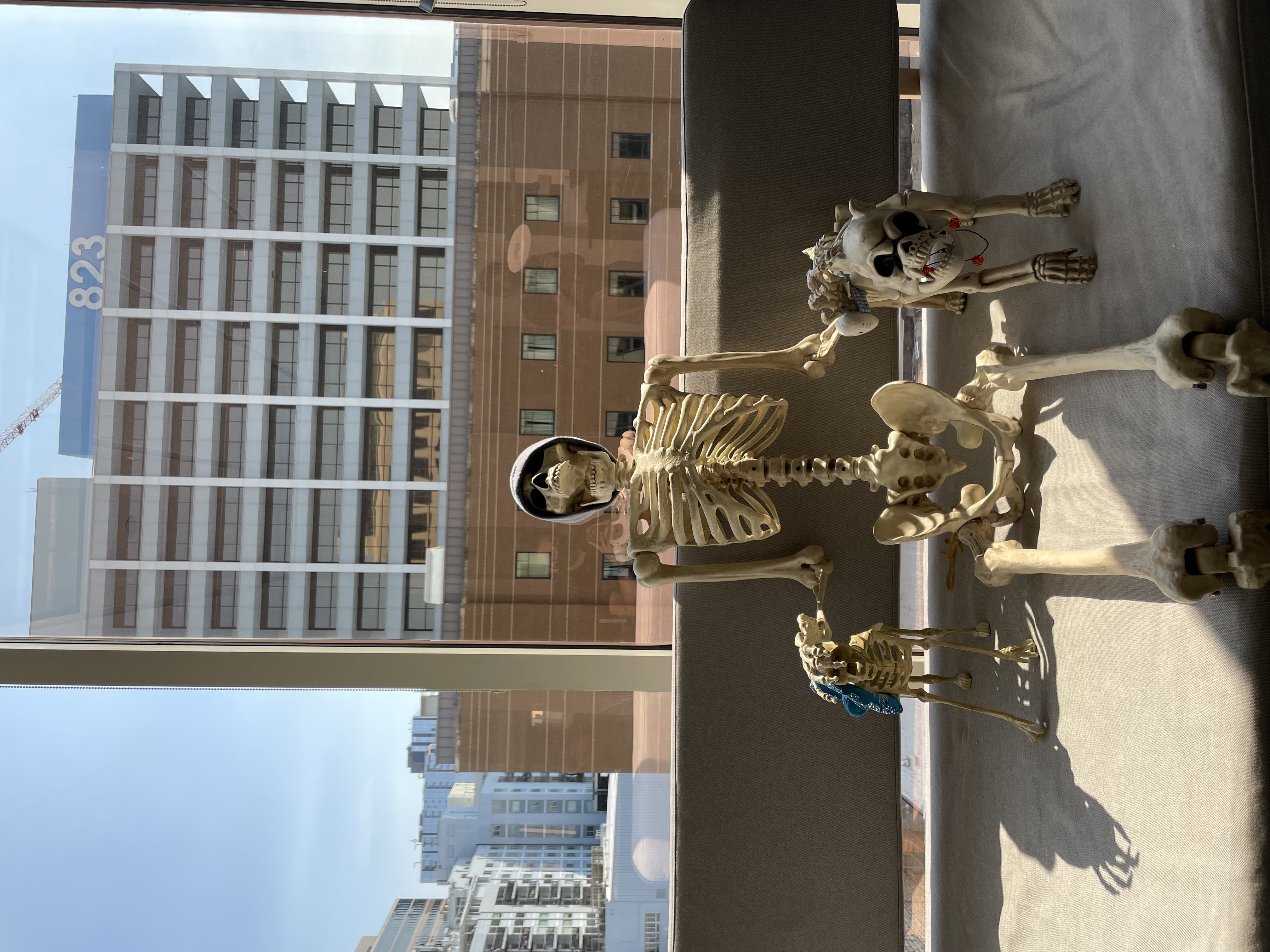 Picture of a plastic skeleton sitting in the Texas Tribune office.